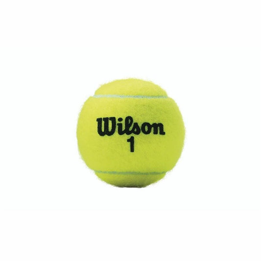 Tennisballen Wilson Championship XD  (3 pcs)