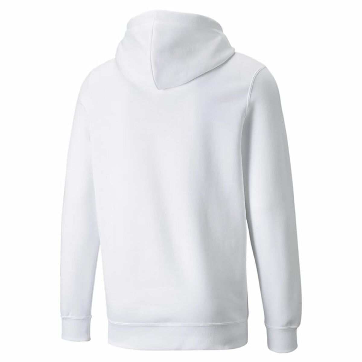 Herenhoodie Puma Power Logo Wit
