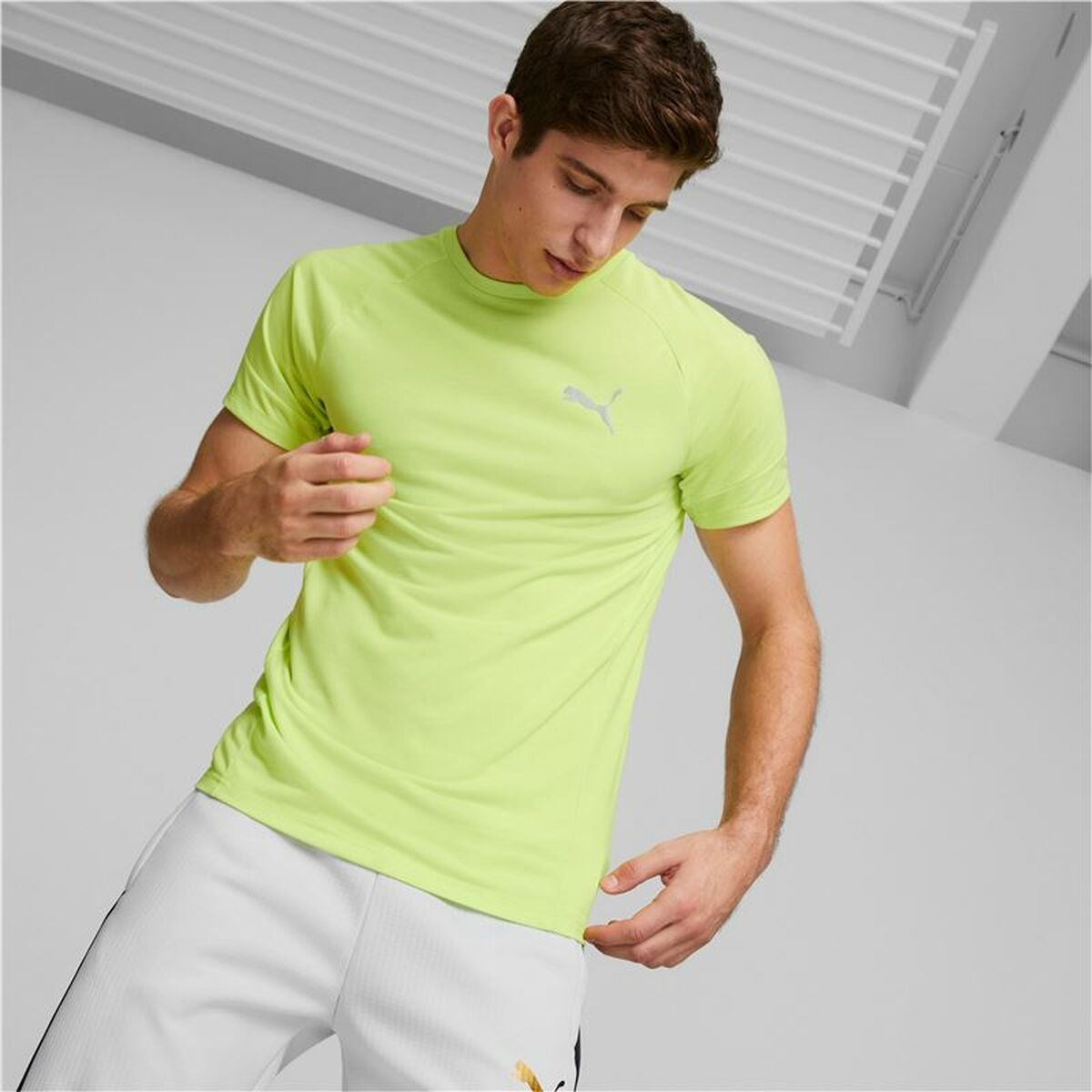 Shirt Puma Evostripe Groen Mannen