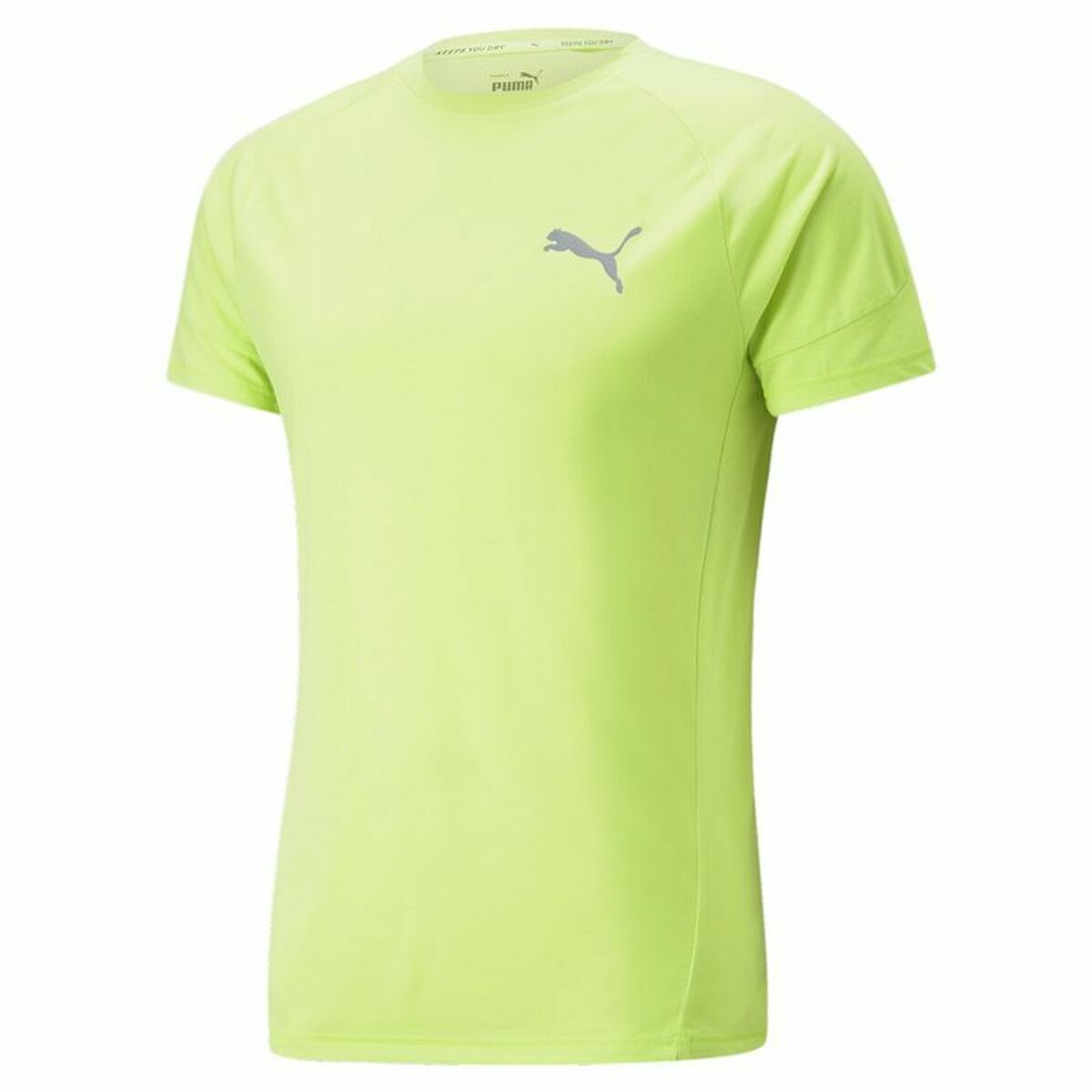 Shirt Puma Evostripe Groen Mannen