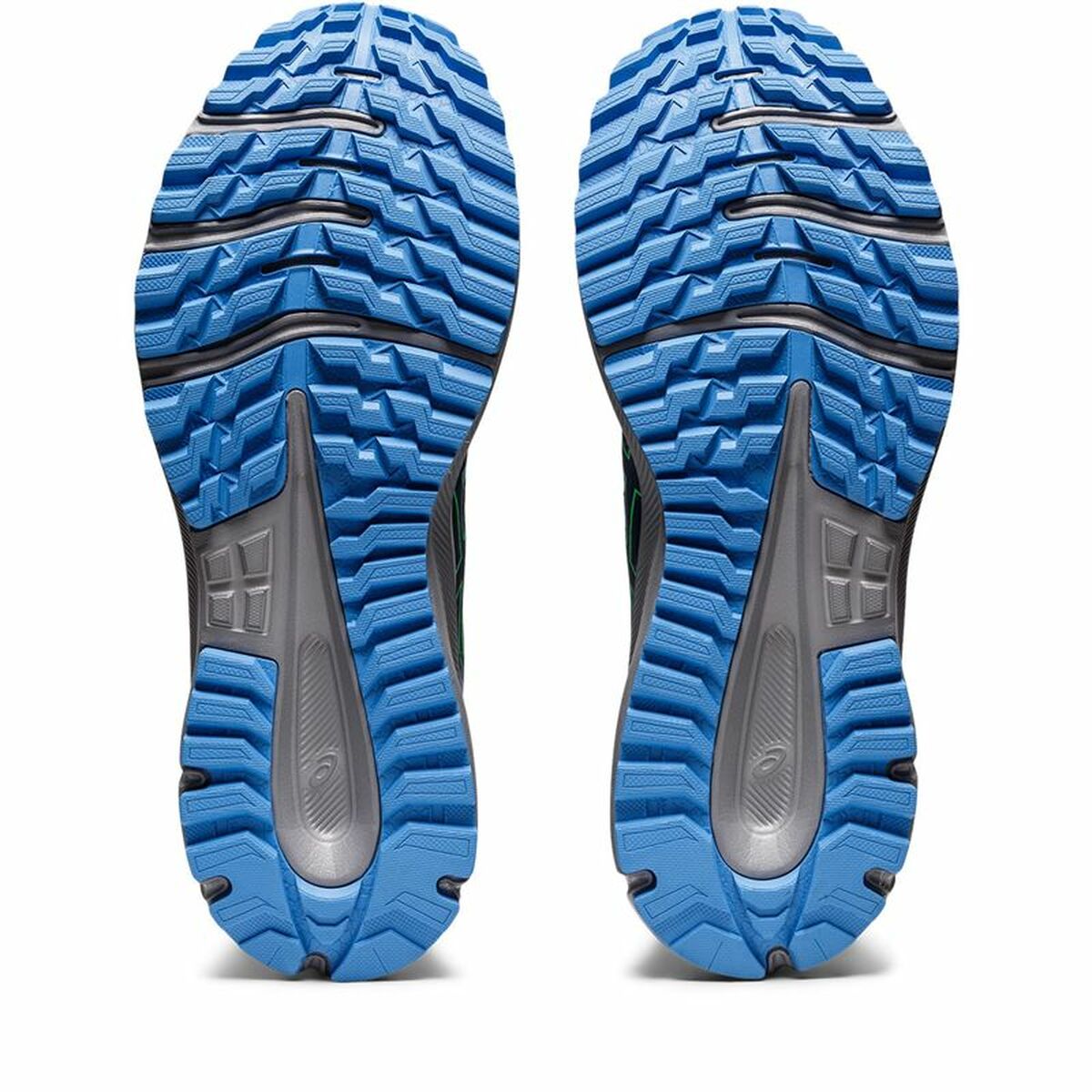 Sportschoenen Asics Trail Scout 2 Blauw Mannen
