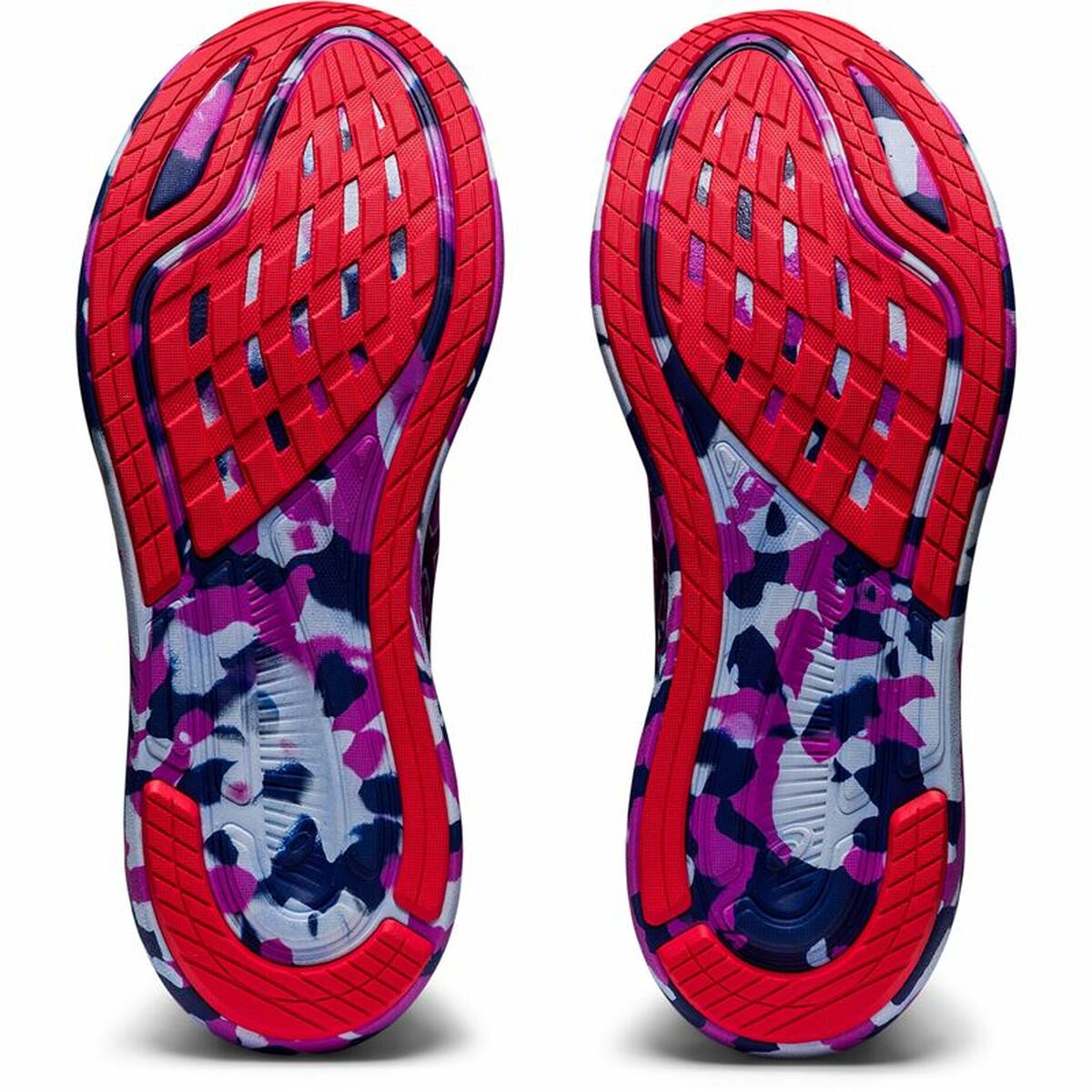 Hardloopschoenen voor Volwassenen Asics Noosa TRI 14 Vrouw Paars