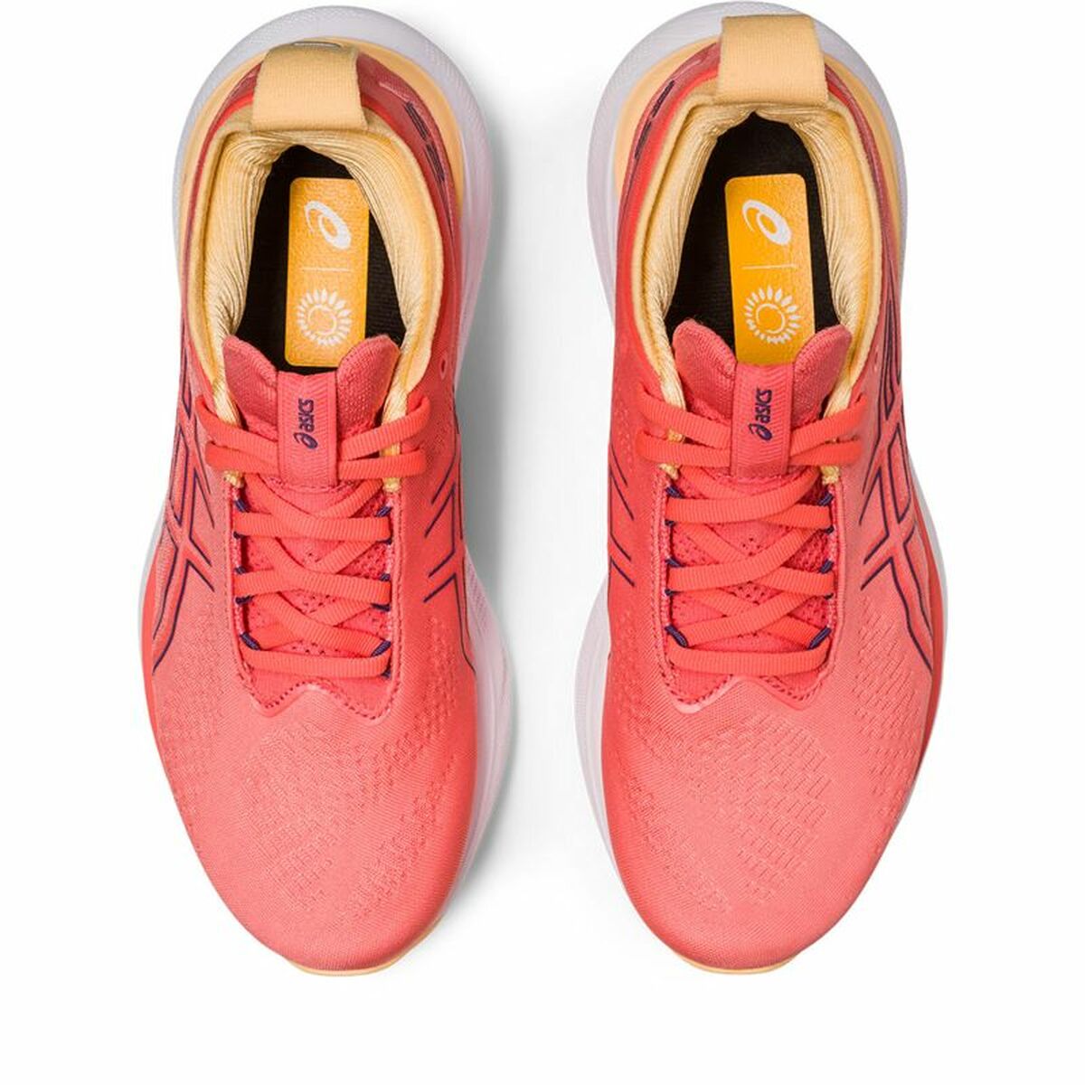 Hardloopschoenen voor Volwassenen Asics Gel-Nimbus 25 Roze