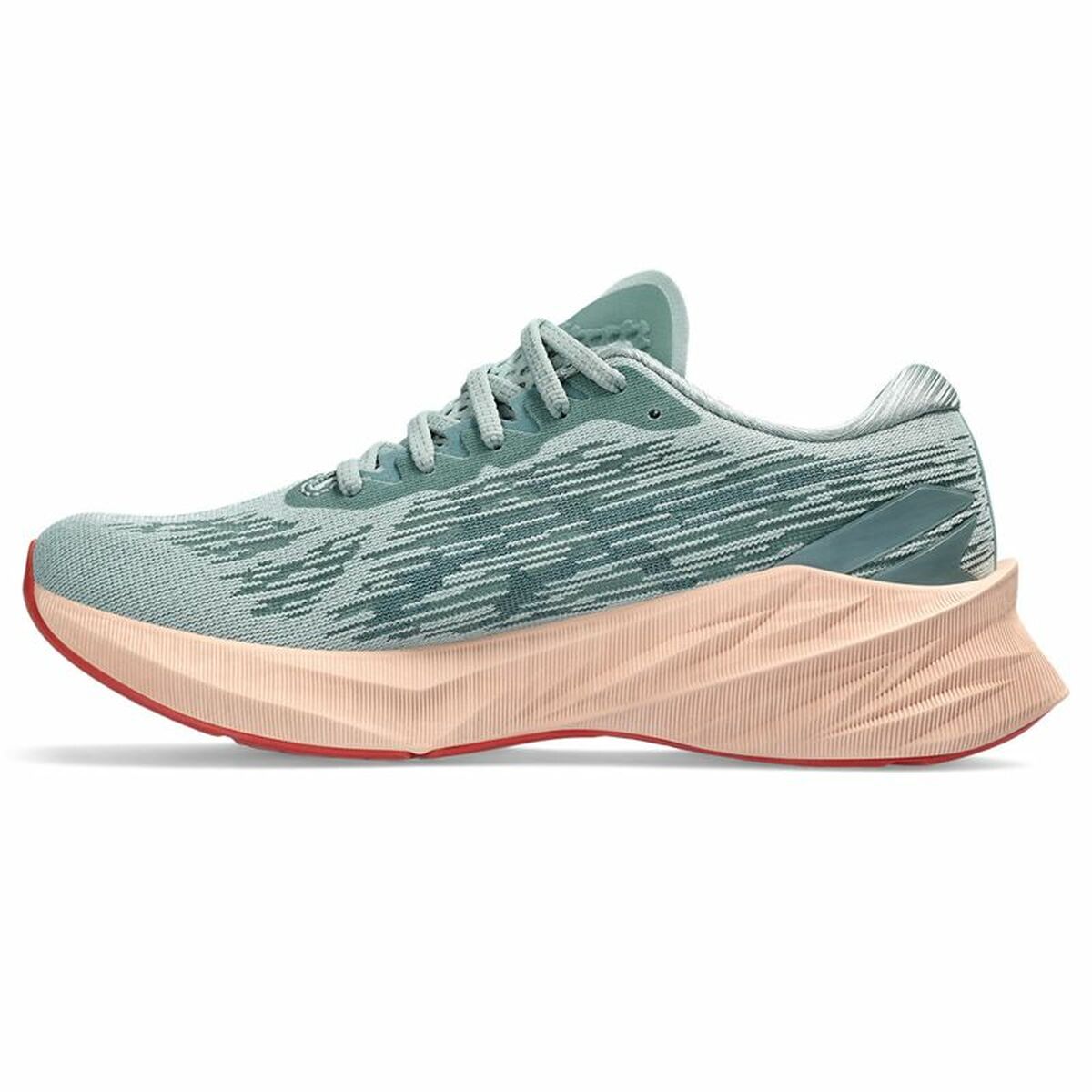Hardloopschoenen voor Volwassenen Asics Novablast 3 Vrouw Grijs