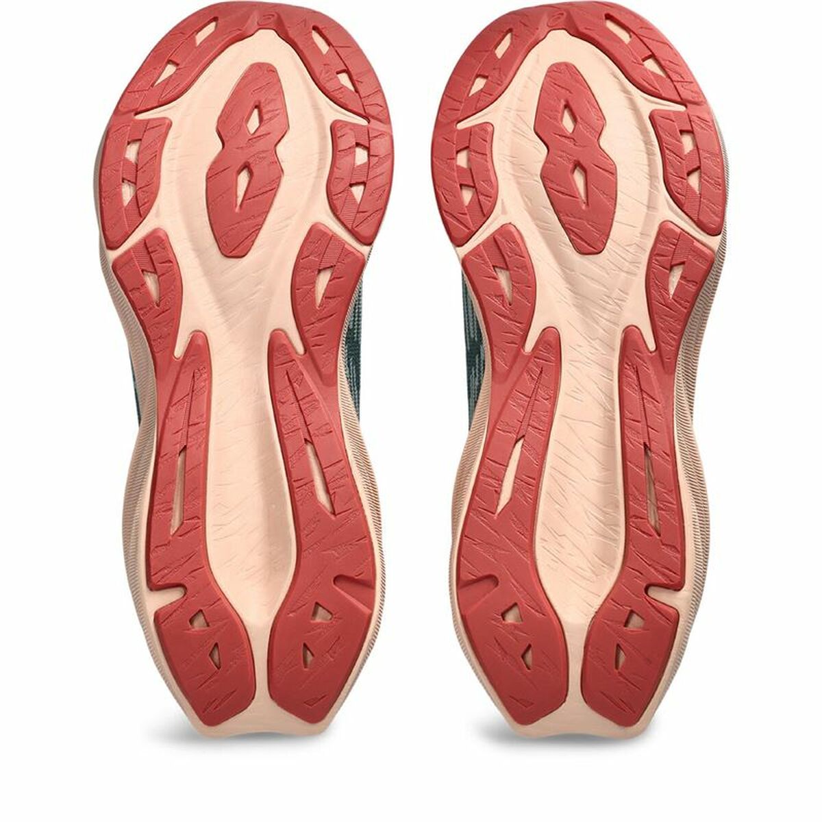 Hardloopschoenen voor Volwassenen Asics Novablast 3 Vrouw Grijs