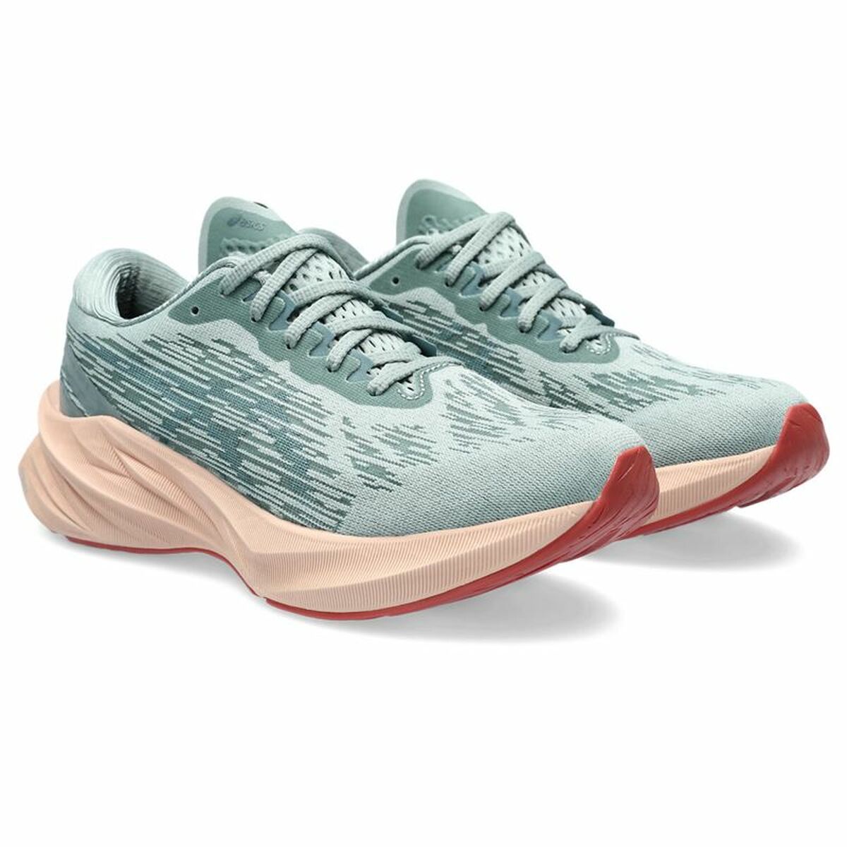 Hardloopschoenen voor Volwassenen Asics Novablast 3 Vrouw Grijs