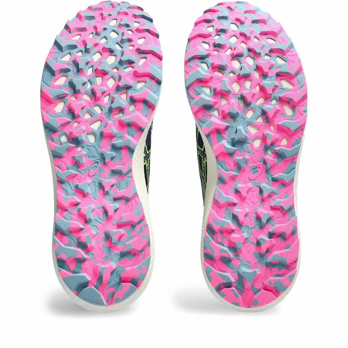 Hardloopschoenen voor Volwassenen Asics Trabuco Terra 2 Berg Vrouw Blauw