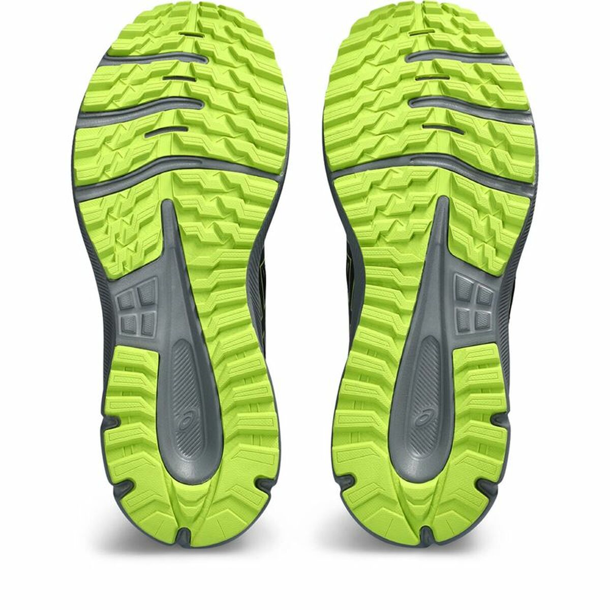 Hardloopschoenen voor Volwassenen Asics Scout 3 Berg Mannen Zwart