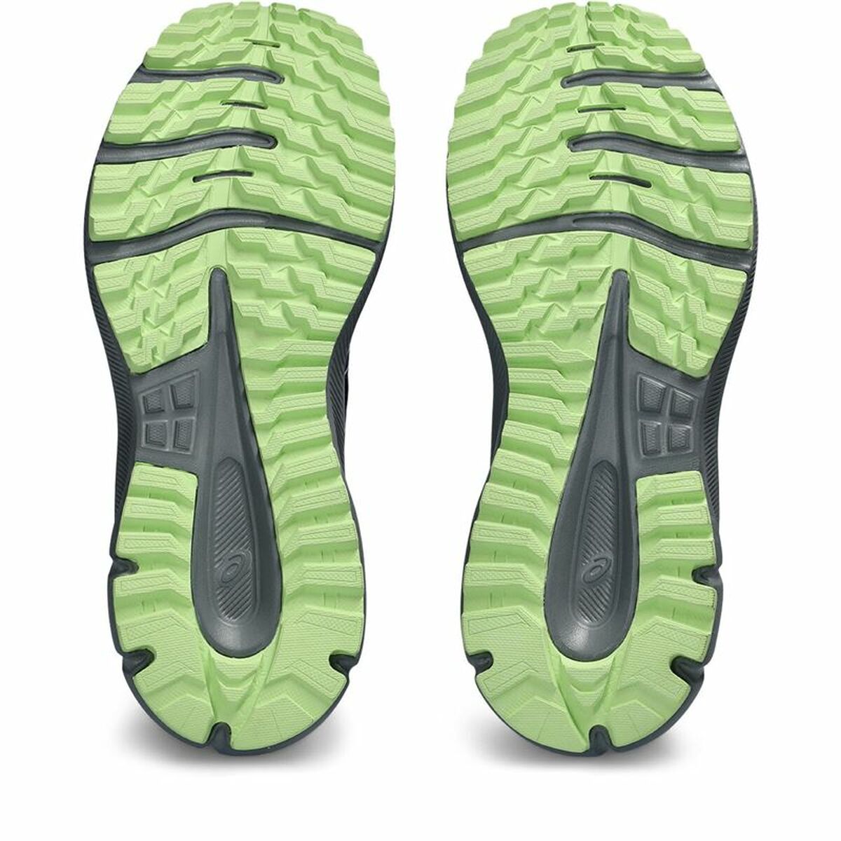 Hardloopschoenen voor Volwassenen Asics Scout 3 Berg Vrouw Donkerblauw
