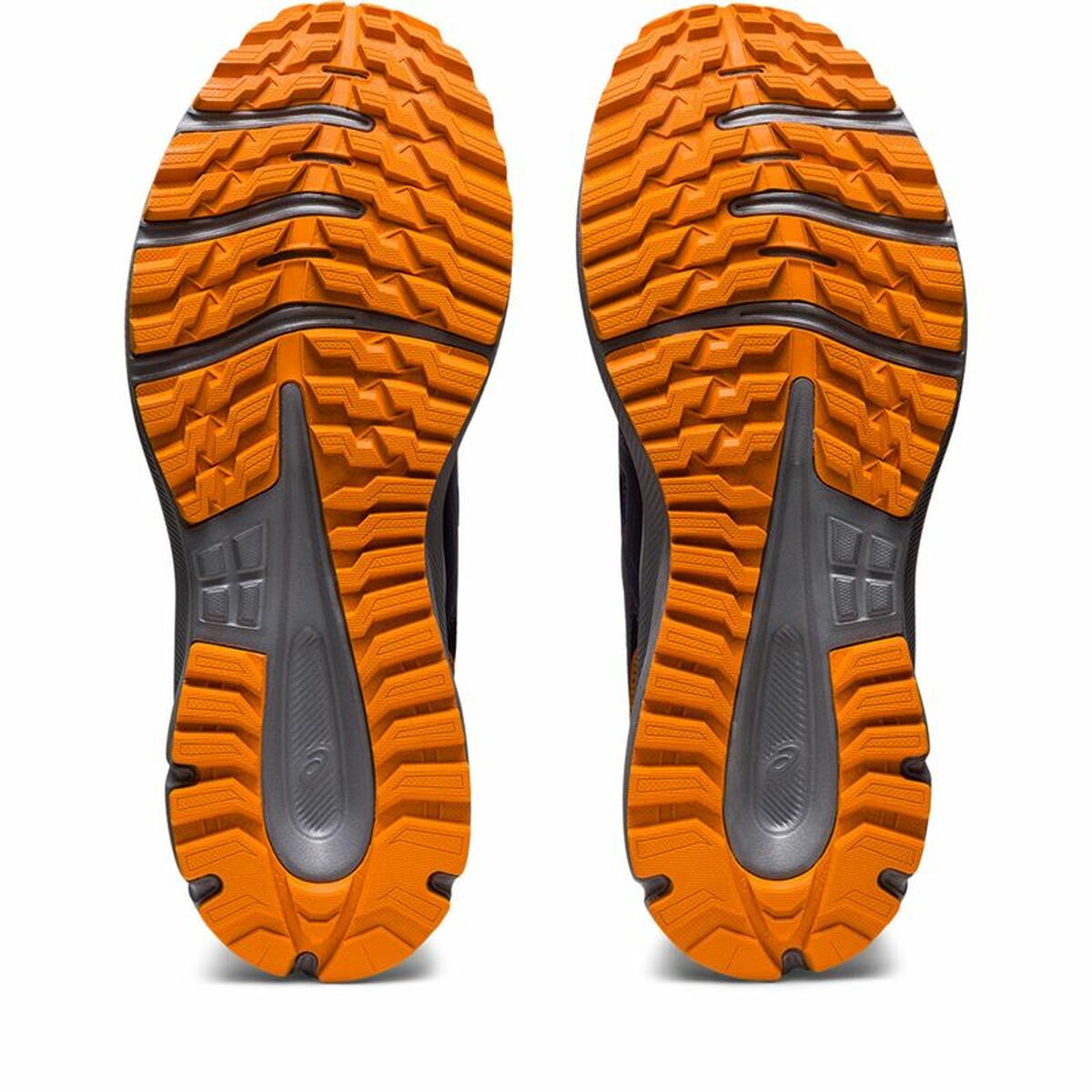 Hardloopschoenen voor Volwassenen Asics Scout 3 Berg Mannen Blauw