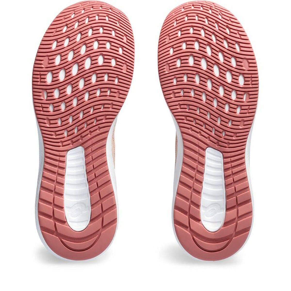 Hardloopschoenen voor Volwassenen Asics Patriot 13 Vrouw Lichtbruin