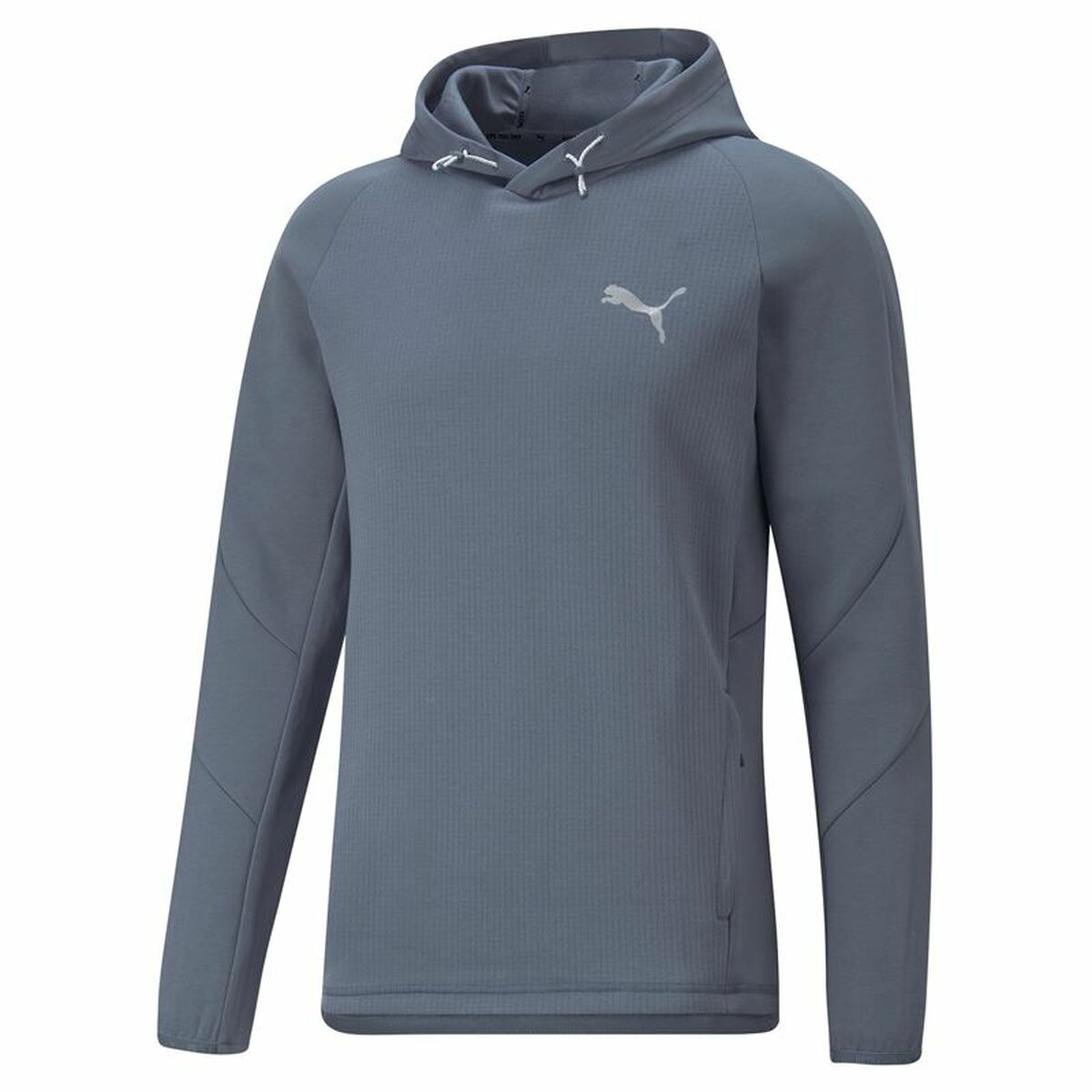 Herenhoodie Puma Evostripe Blauw