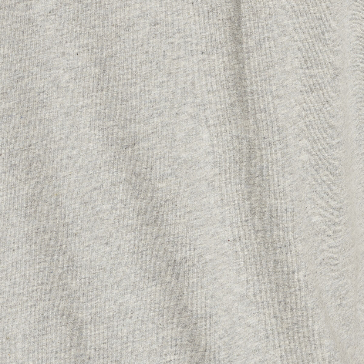 Heren-T-Shirt met Korte Mouwen Reebok BIG LOGO TEE HD4219 Grijs