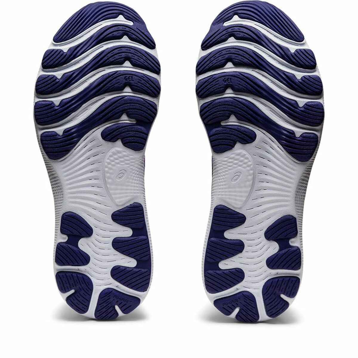 Hardloopschoenen voor Volwassenen Asics Gel-Nimbus 24 Paars Vrouw