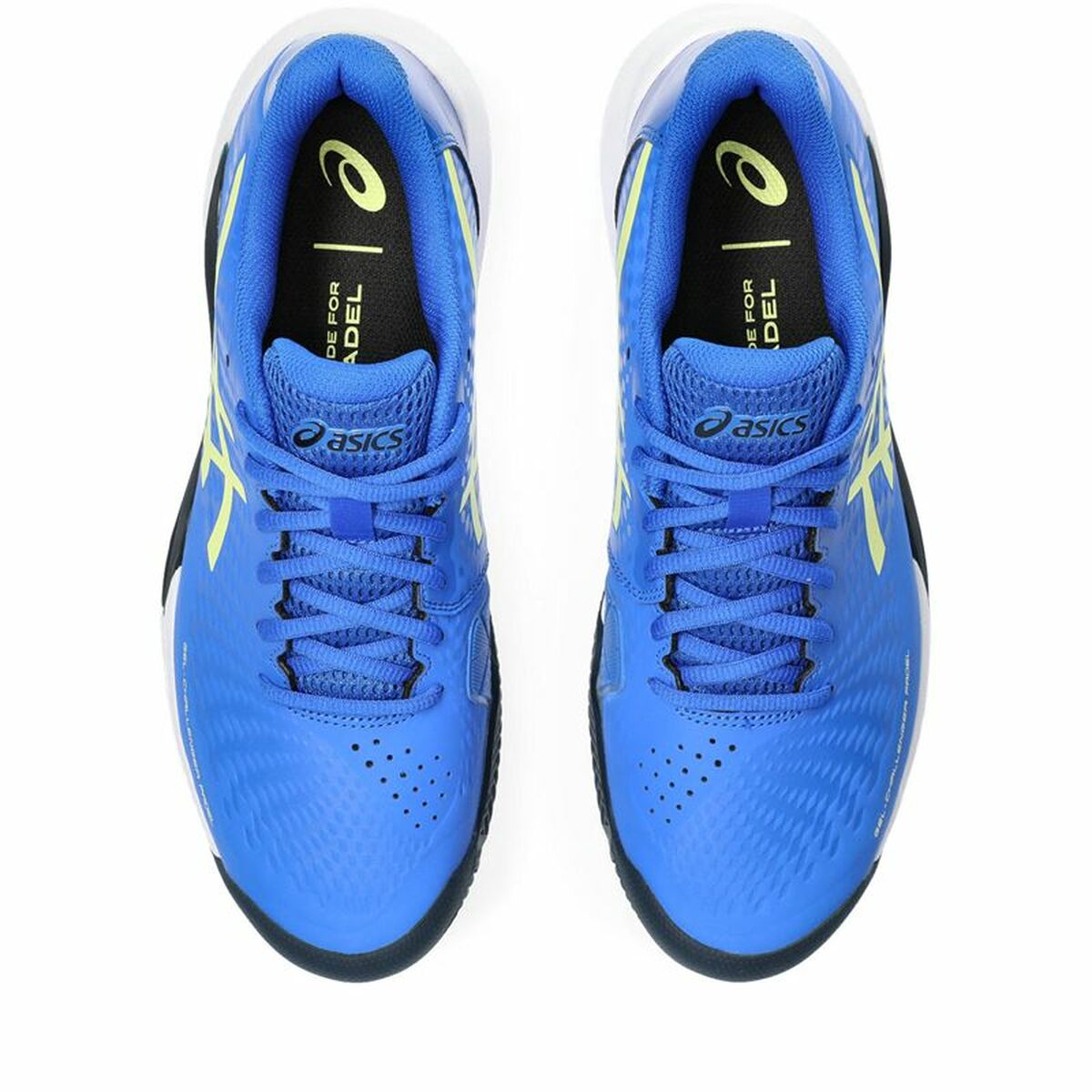 Padelschoenen voor volwassenen Asics Gel-Challenger 14 Mannen Blauw